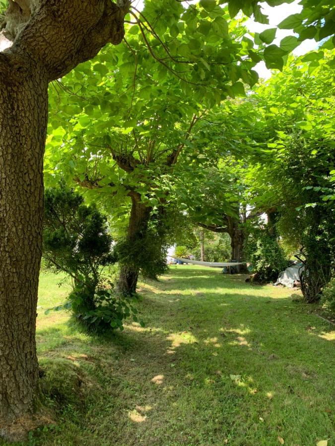 Gite La Louisiane Villa Salies-de-Béarn Dış mekan fotoğraf